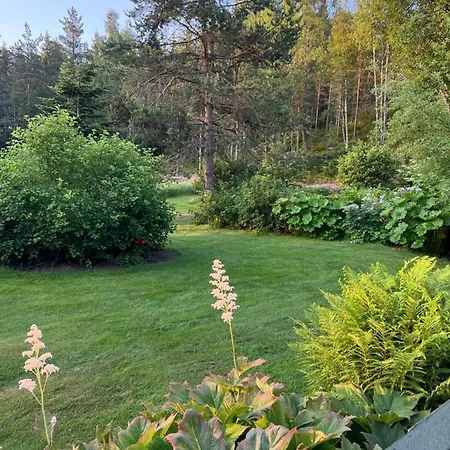 Appartement Oggevatn Birkenes